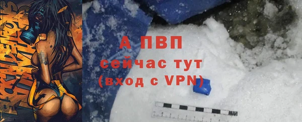 стафф Беломорск