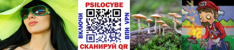 Галлюциногенные грибы мицелий  Купить  Кукмор 